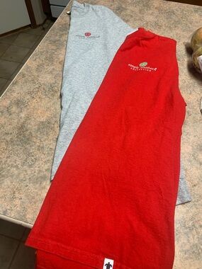Simply Southern Shirt Lot